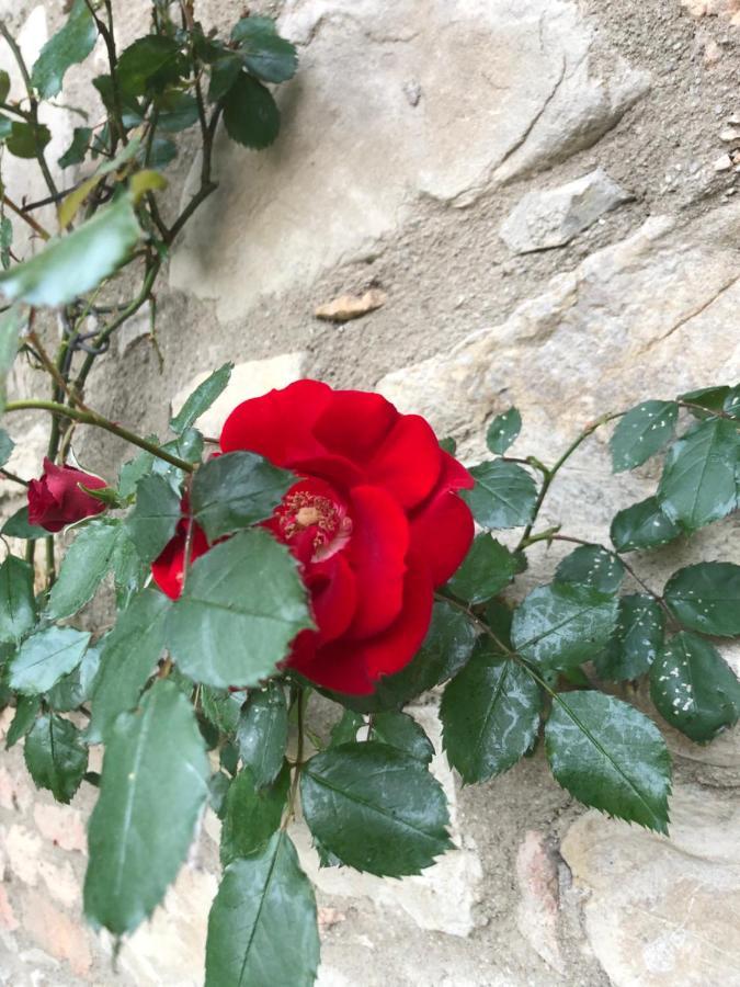 Agriturismo Oria Bianca Villa San Quirico dʼOrcia Dış mekan fotoğraf